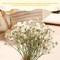 200pcs Mini Dried Baby’s Breath Flowers – Natural Pressed Gypsophila for Wedding Invitations, Card Making, Resin Art, Candles & DIY Home Party Decor